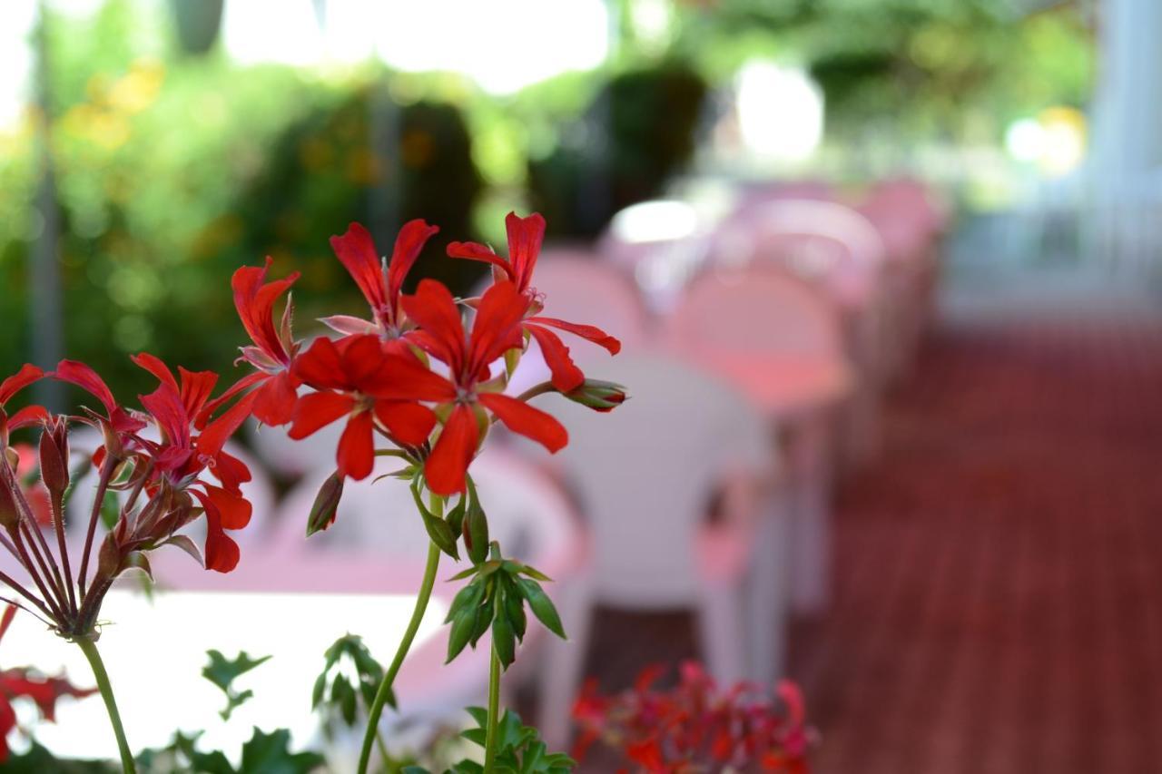Zoeld Zona Zamardi Ueduelo Bed & Breakfast Bagian luar foto